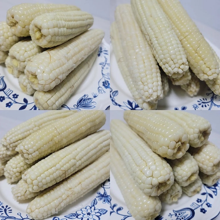 로컬홀릭 이미지