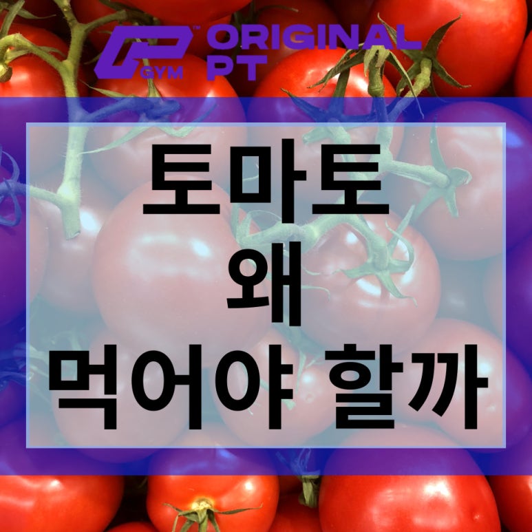 오피짐 이미지