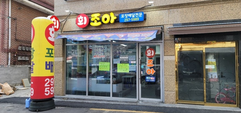 회조아 이미지