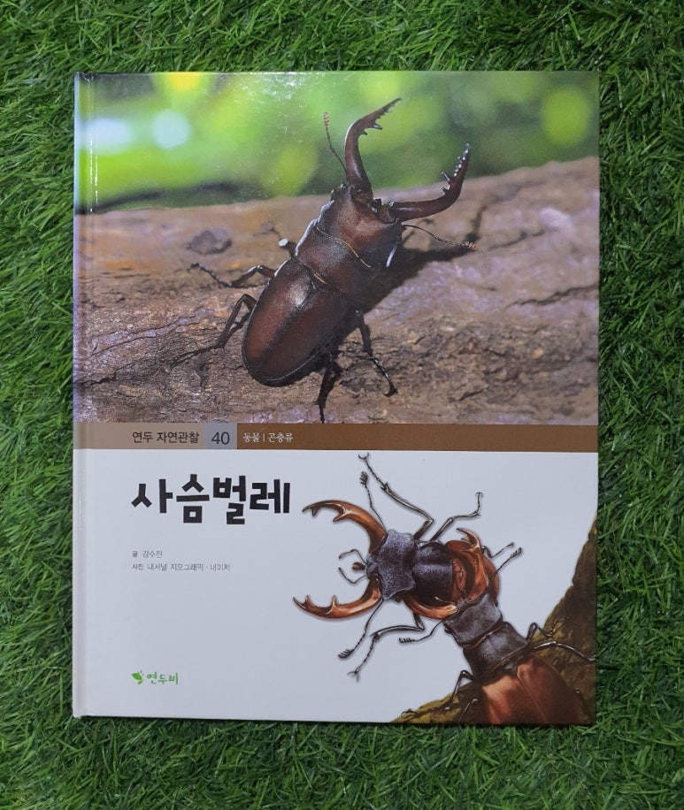 신월전집 이미지