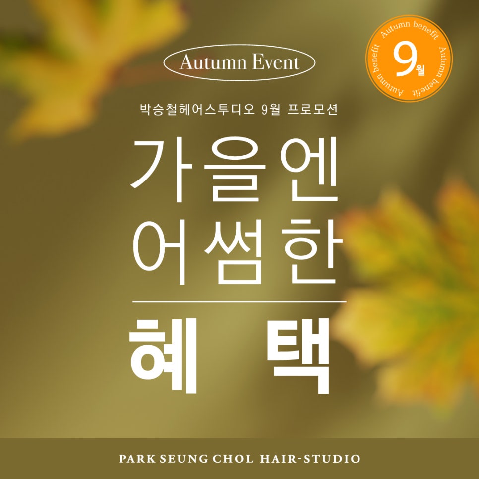 다래헤어아트 이미지