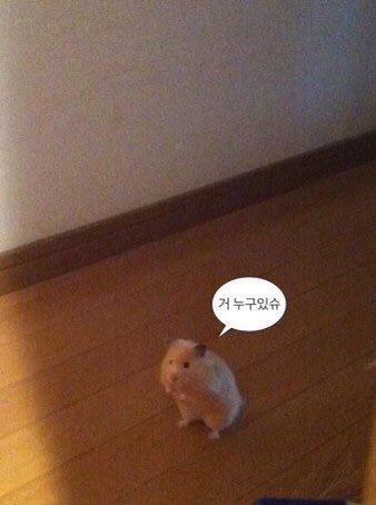 이자리에 이미지
