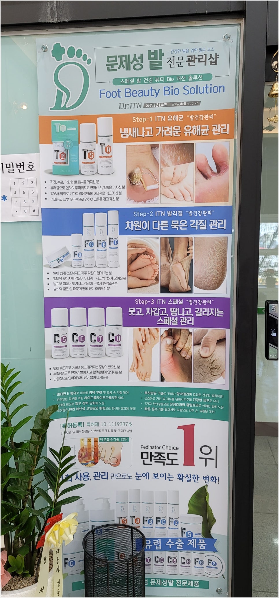 손에핀꽃 이미지
