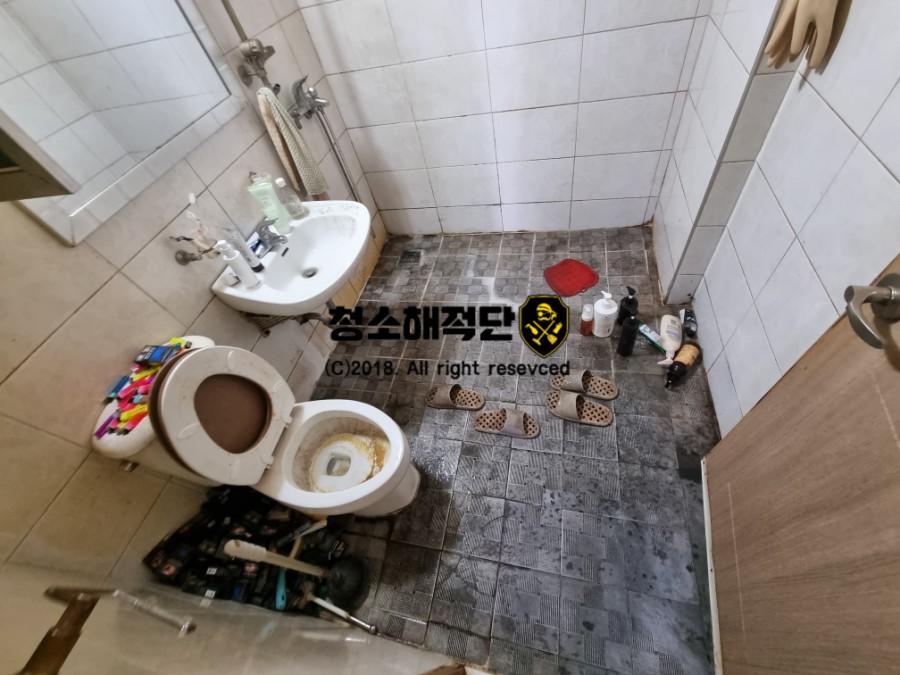 청소해적단 이미지