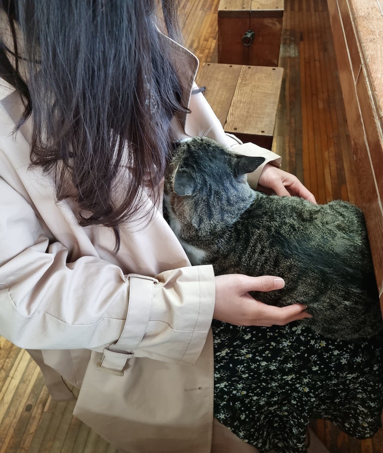 보성녹차오리탕 이미지