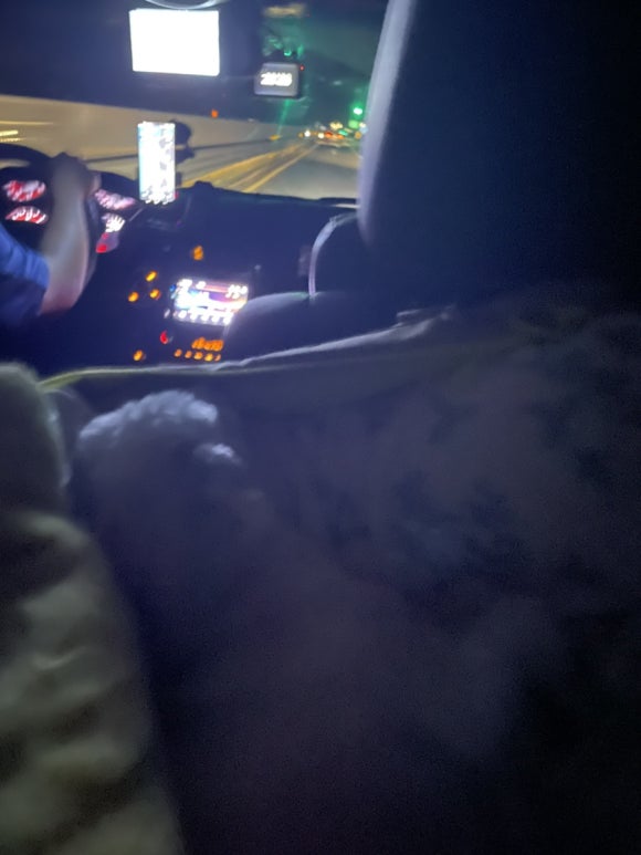 평화렉카 이미지