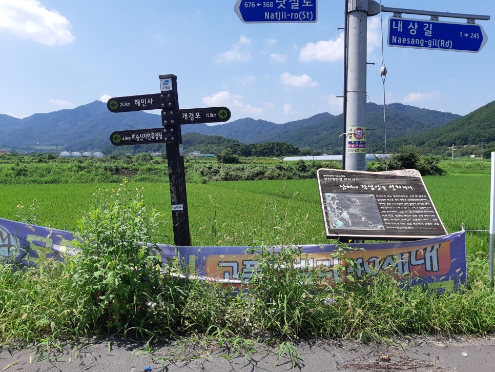 미숭산자연휴양림 이미지