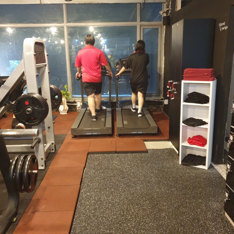 쇠짐 이미지