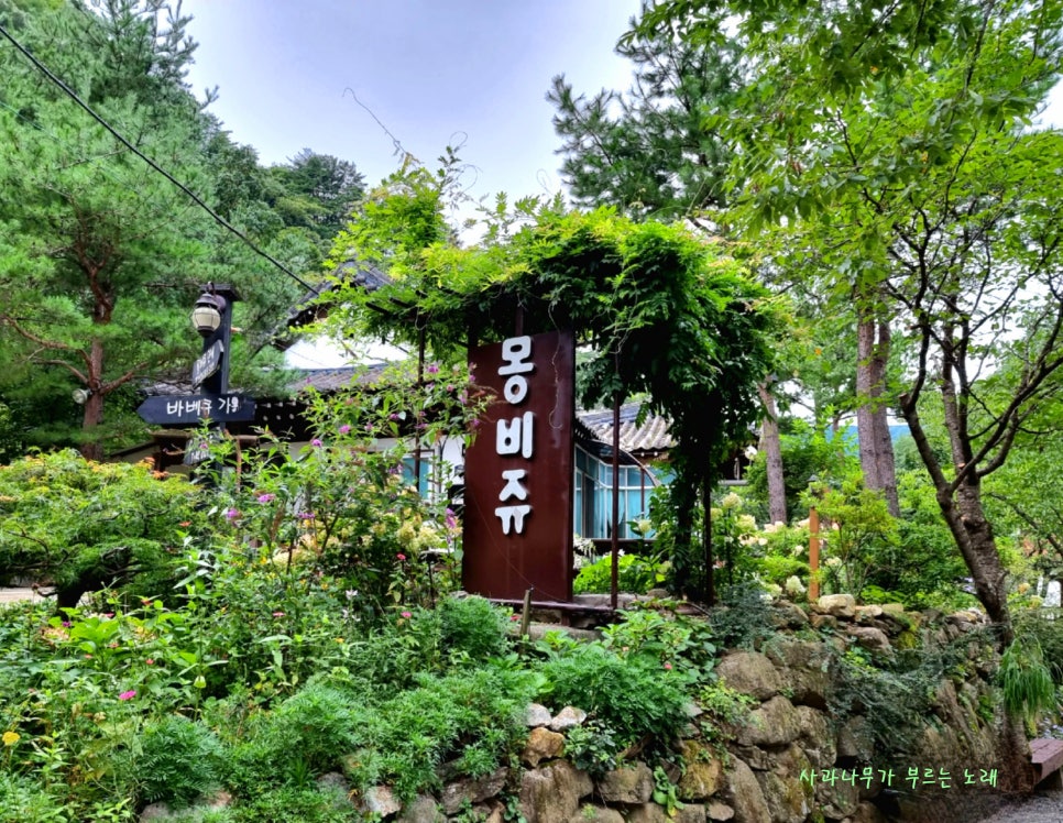 몽비쥬 이미지