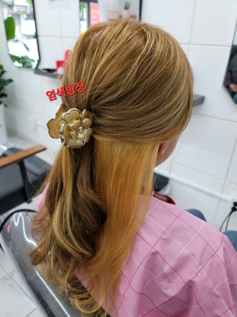 염색방장 이미지