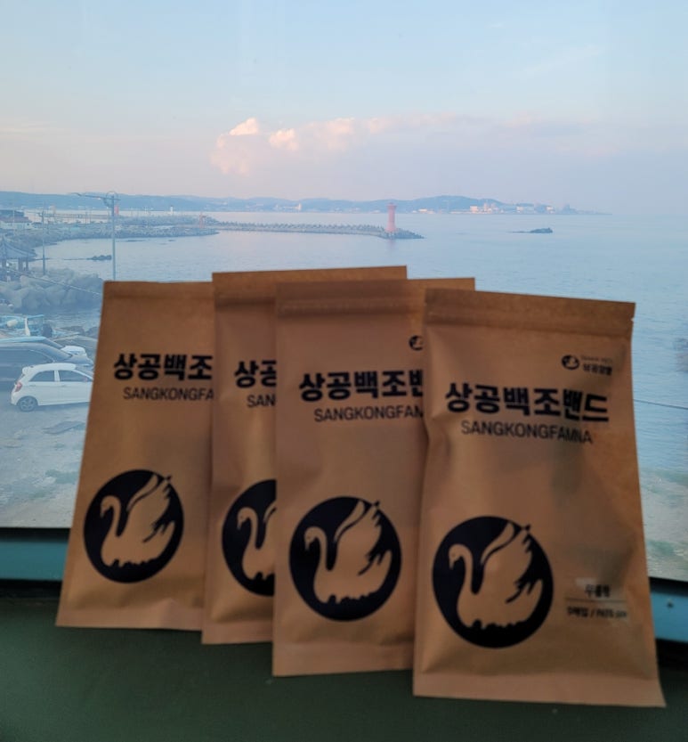 백조양행 이미지