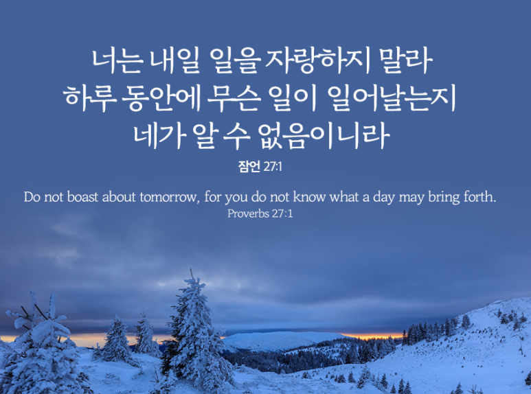 둘자네 이미지