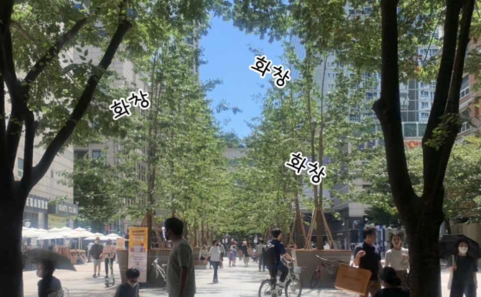 샐러디목동41 이미지