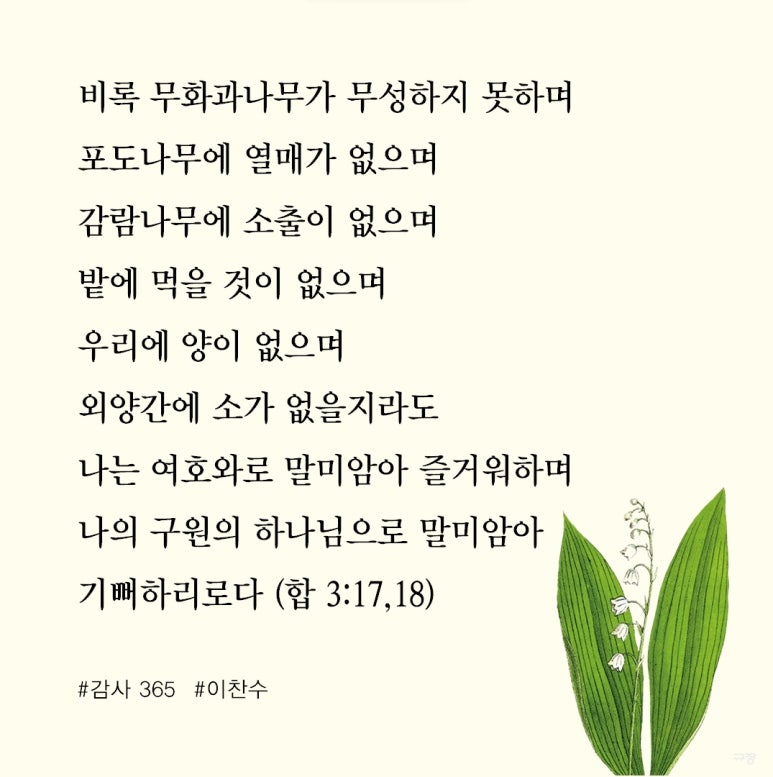 포도나무365 이미지