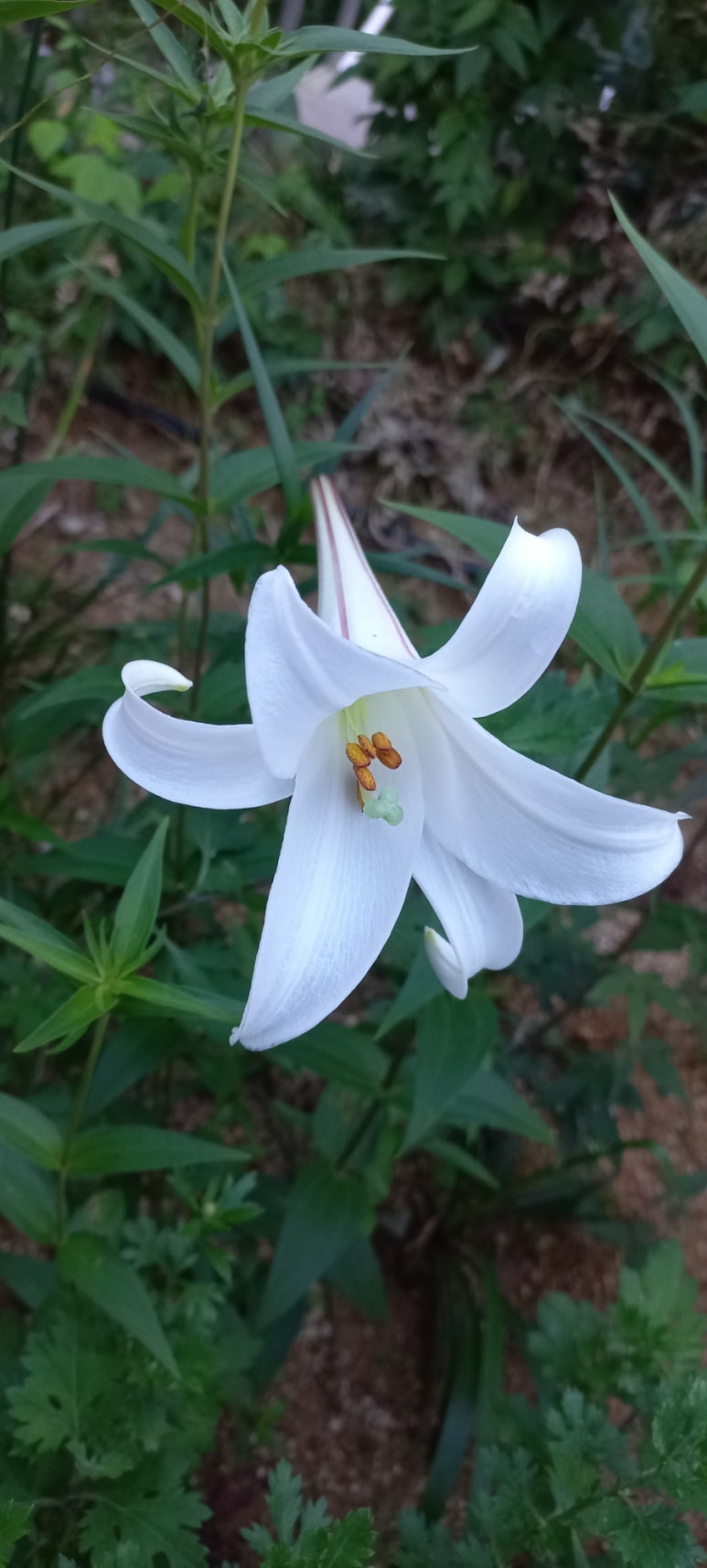 (주)뜨락 이미지