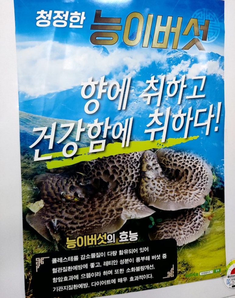 신토불이오리불고기 이미지