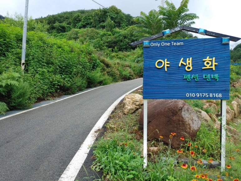 야생화펜션 이미지