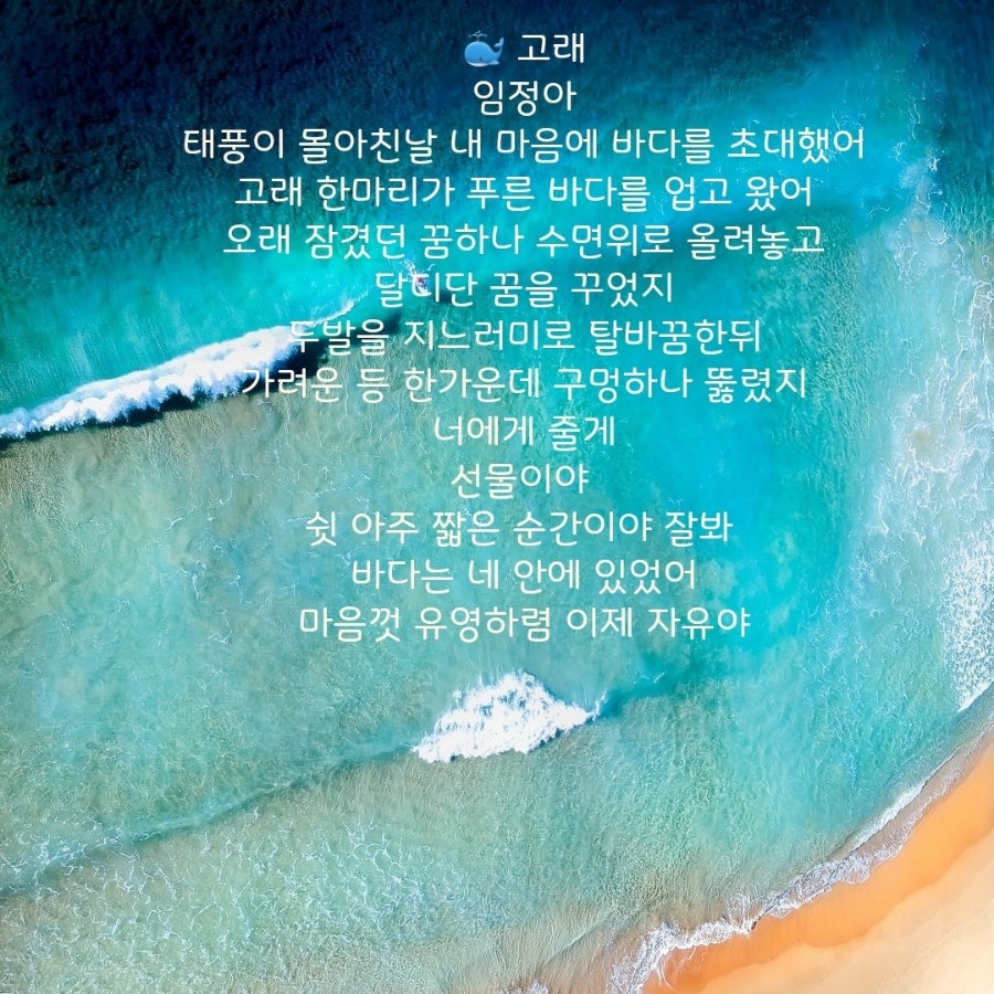 고래의꿈 이미지