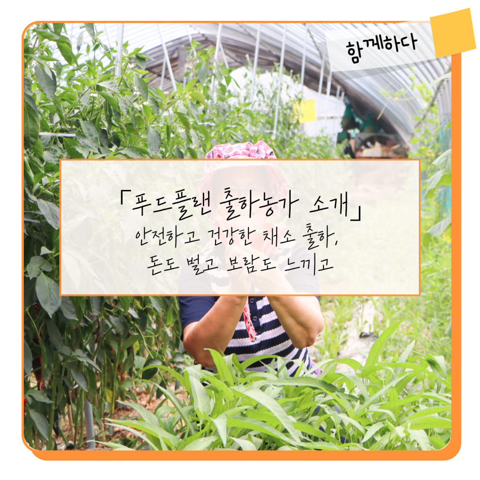 담소푸드 이미지