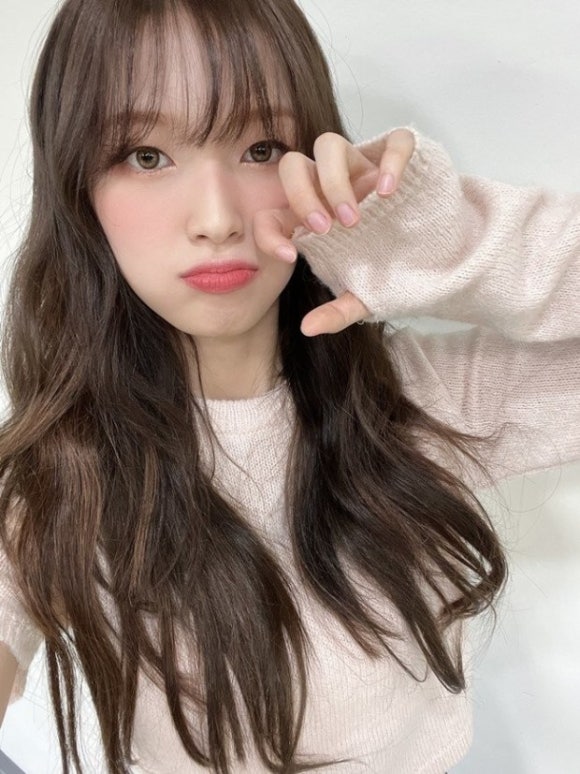 아린헤어 이미지