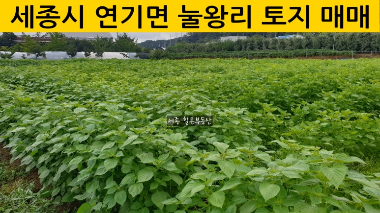 건축사사무소국도 이미지