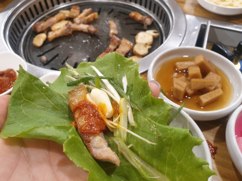 지리산꺼먹돼지 이미지
