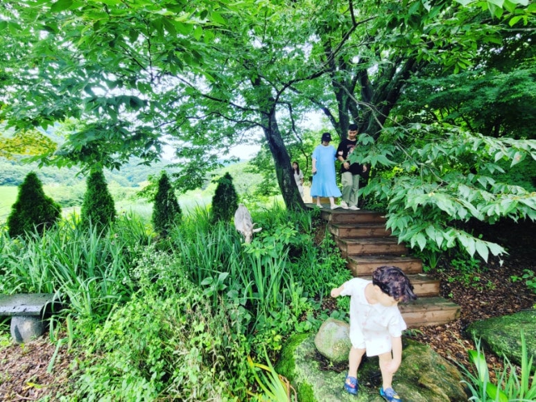 야생화마을펜션민박 이미지