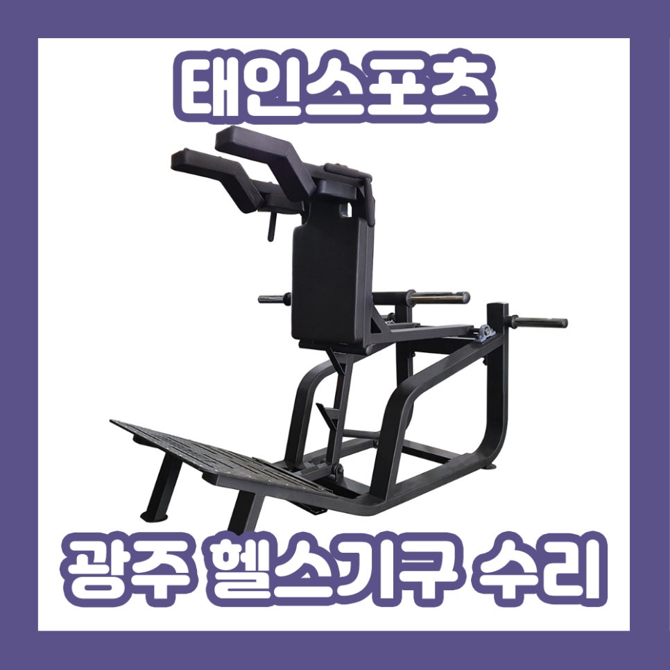 태인스포츠 이미지