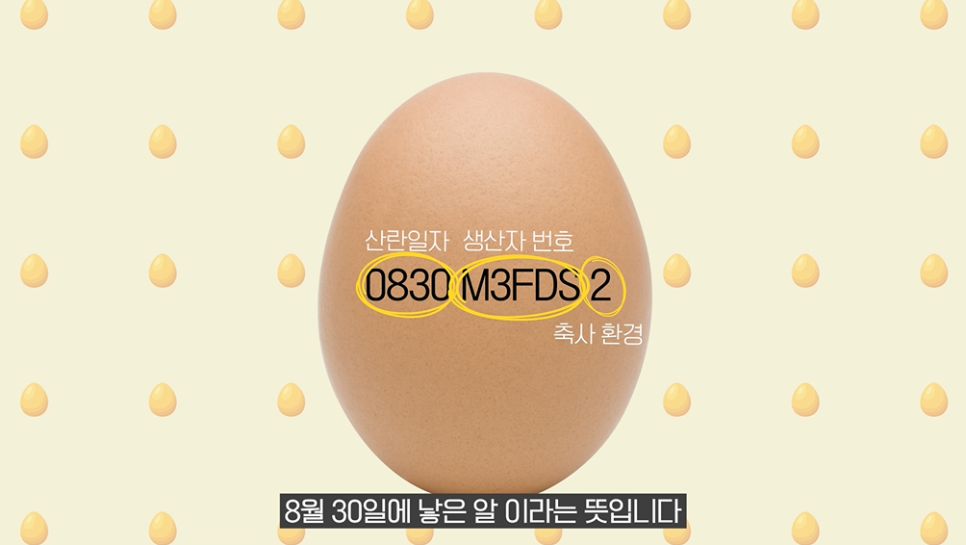 슬기로운밥상생활 이미지