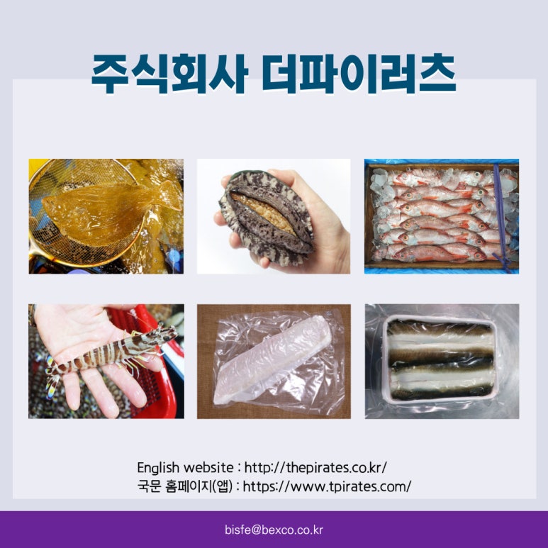 주식회사 더파이러츠 이미지