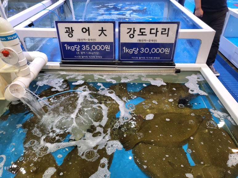 군산활어회 이미지