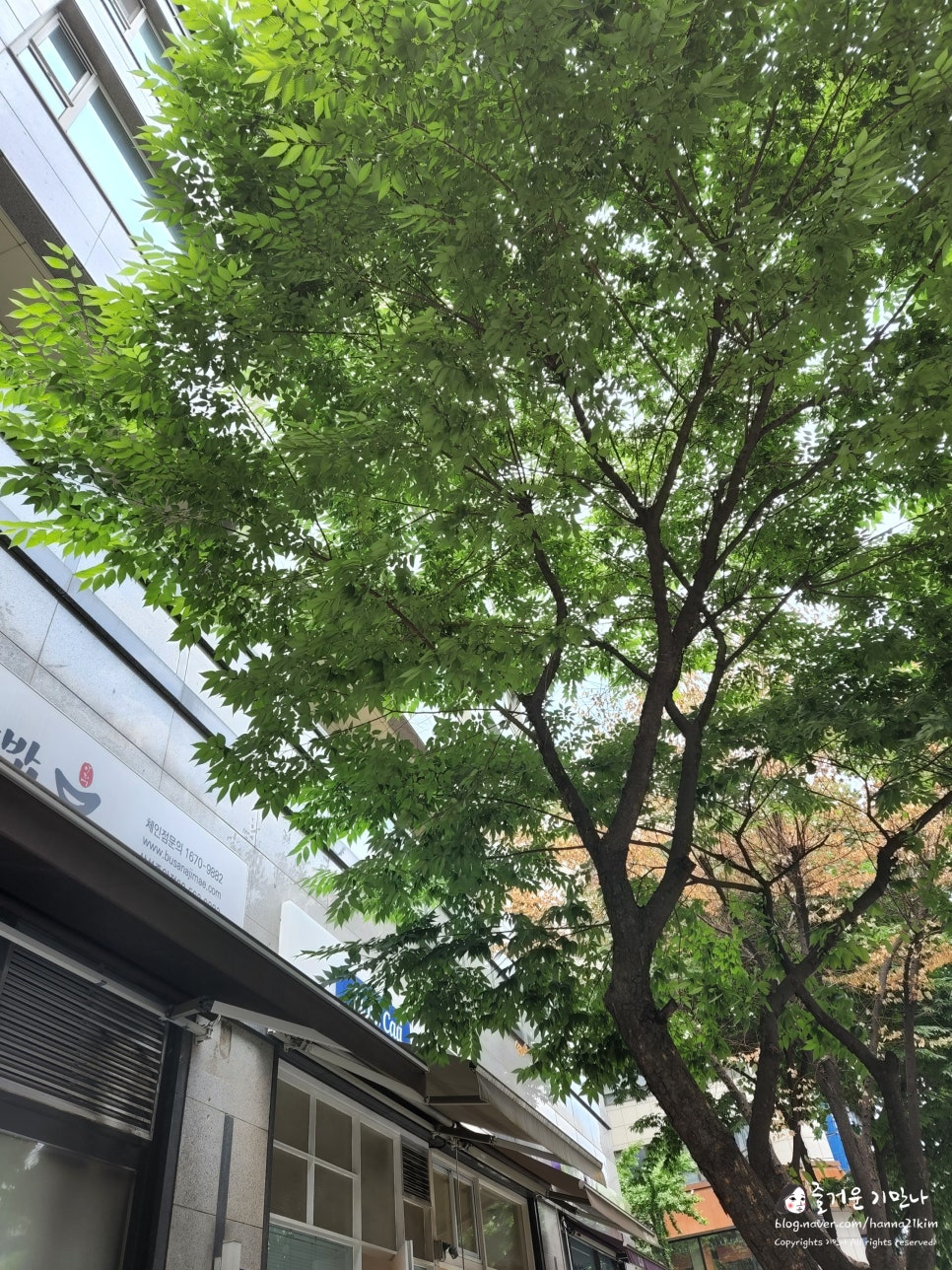 슬로우캘리선릉역 이미지