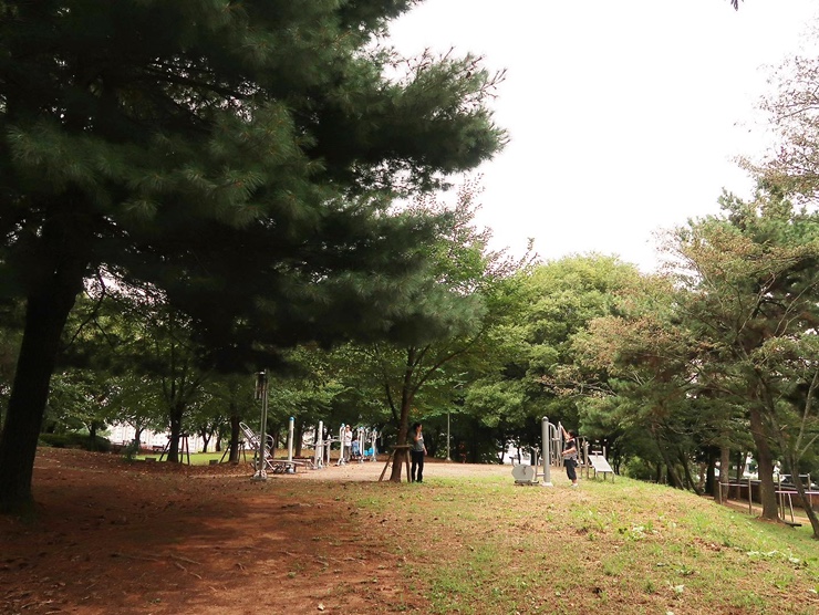 무양공원 유아숲체험원 이미지