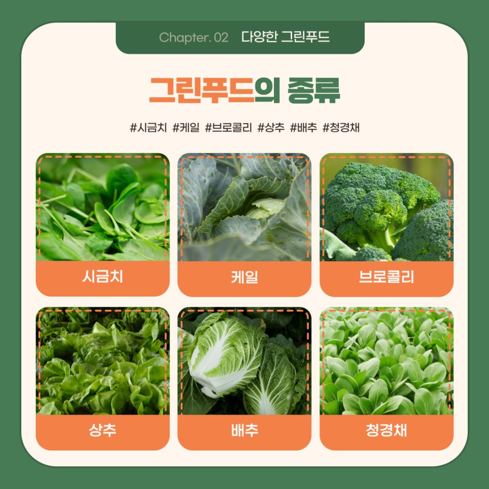 그린스포츠센터 이미지