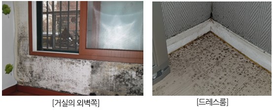 청ENG 이미지