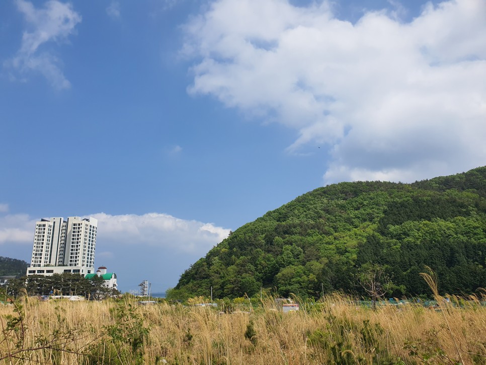 천일에너지천일주유소 이미지