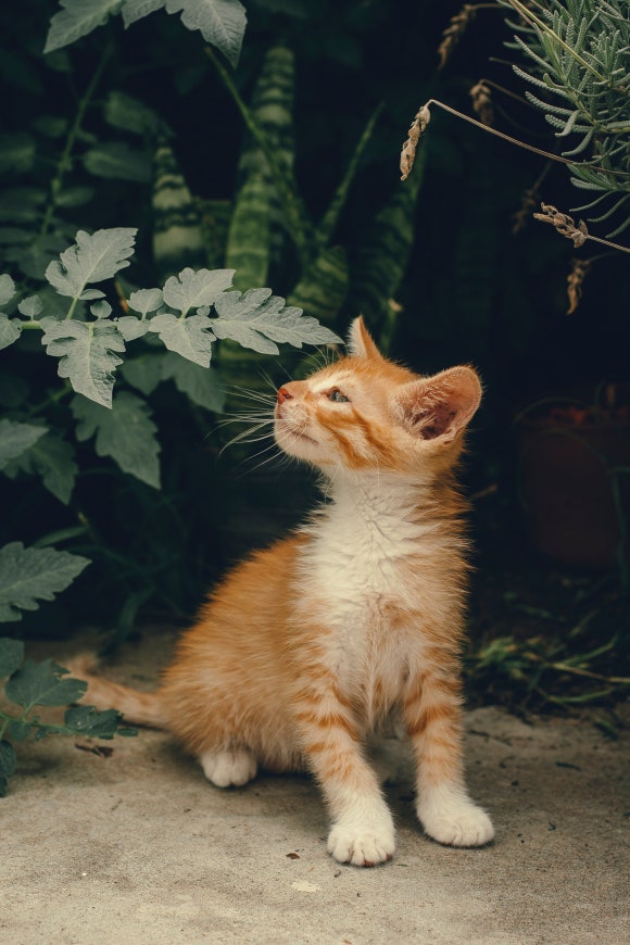 결혼정보사랑 이미지