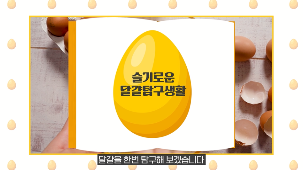 슬기로운밥상생활 이미지