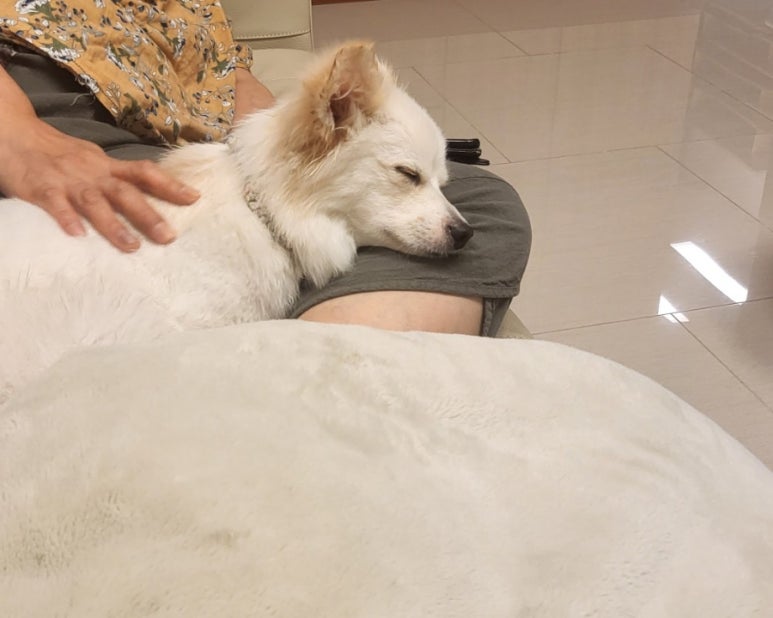 투비애드 이미지