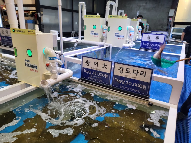 군산활어회 이미지