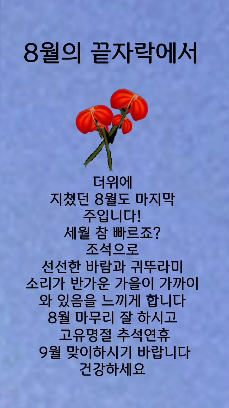 수갤러리 이미지