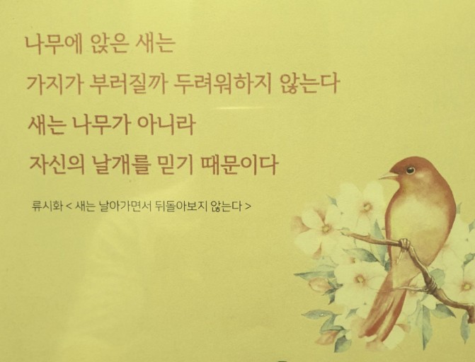 한국자산관리상담소 이미지