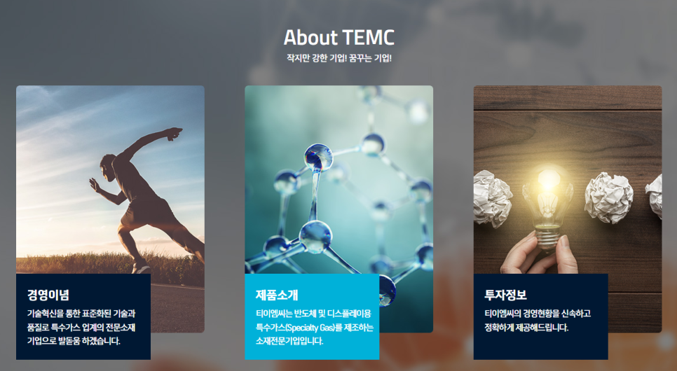 티이엠씨 주식회사 이미지