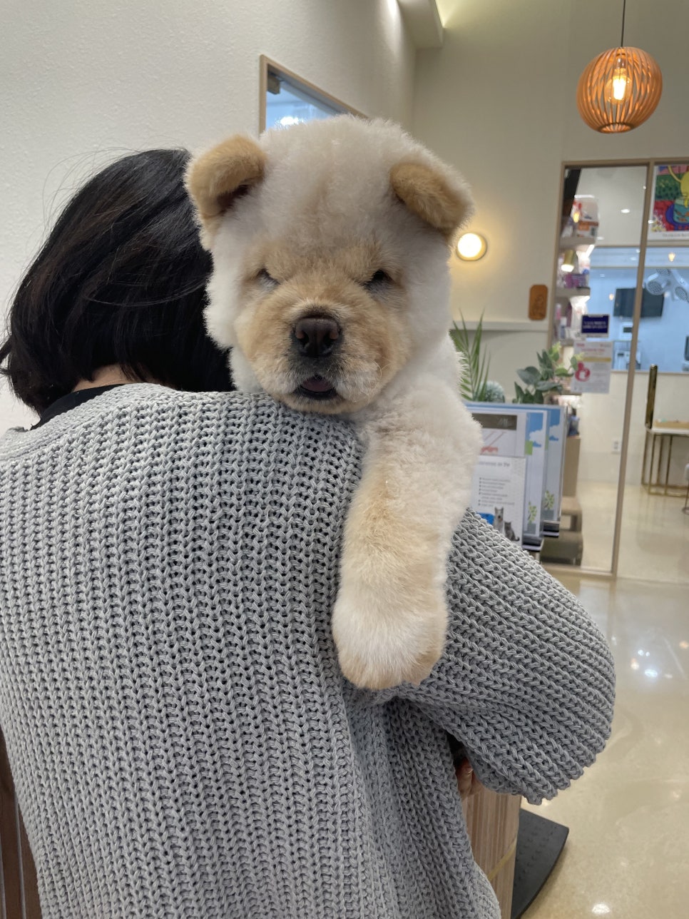 신만두가 이미지