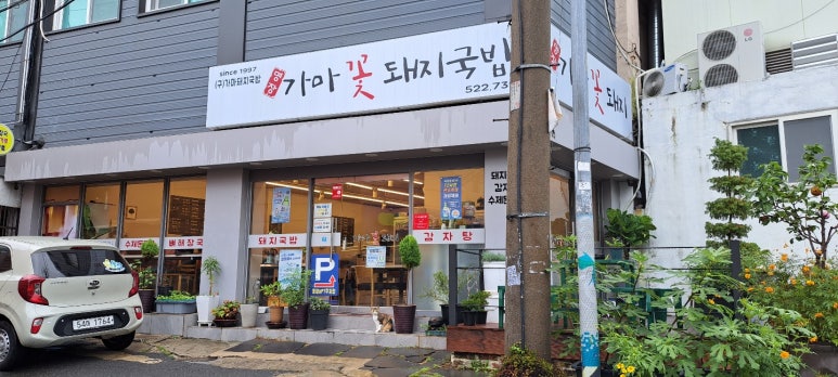 가마꽃돼지 이미지