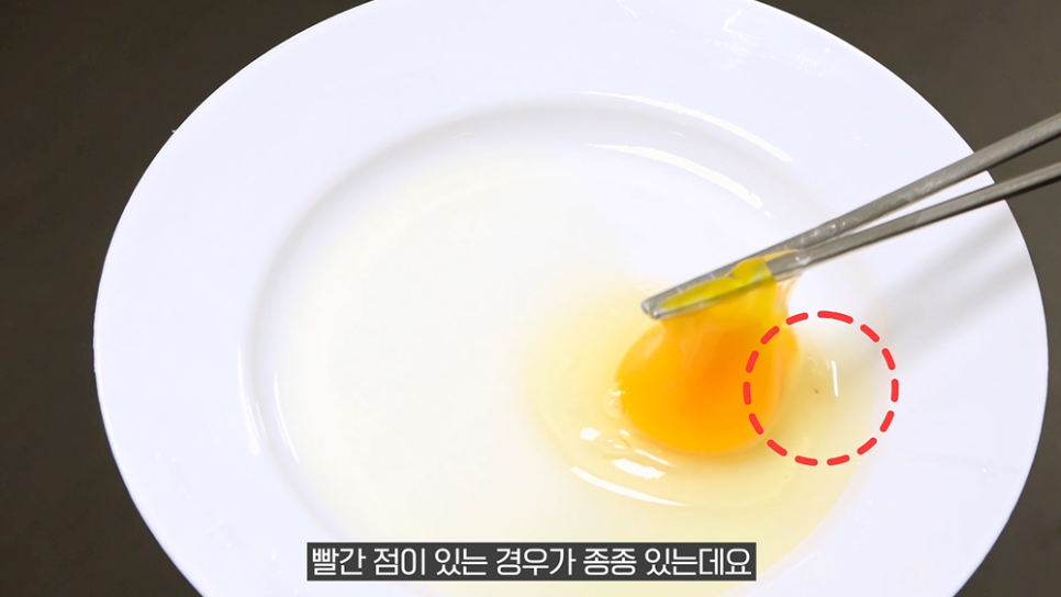 슬기로운밥상생활 이미지