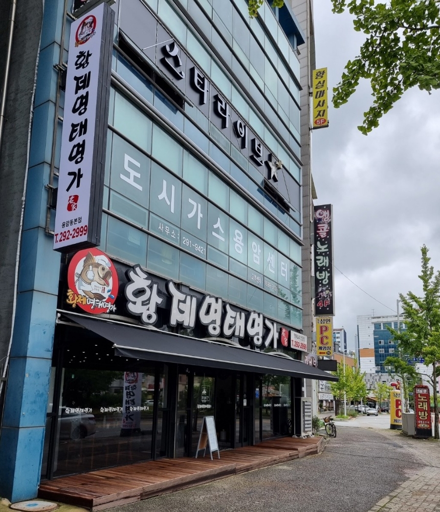 황제명태명가 이미지