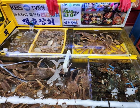 백호건어물 이미지
