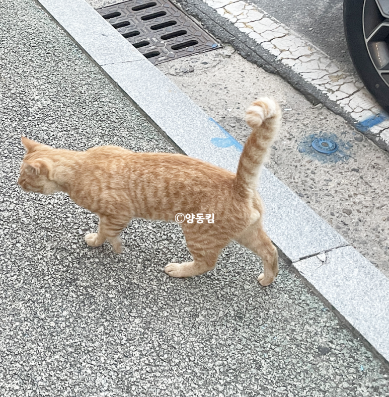 구례상회 이미지