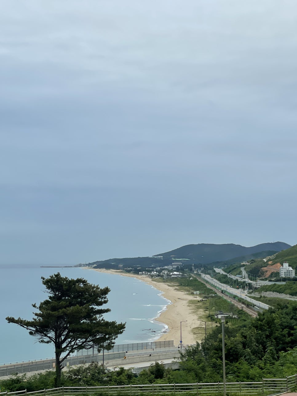 사라유통 이미지